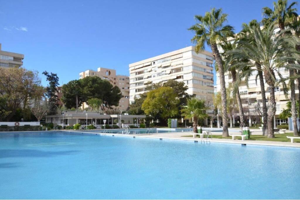 Garden Apartment With Pool And Ac Αλικάντε Εξωτερικό φωτογραφία